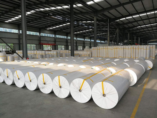 陕西狭缝式涤纶纺粘无纺布